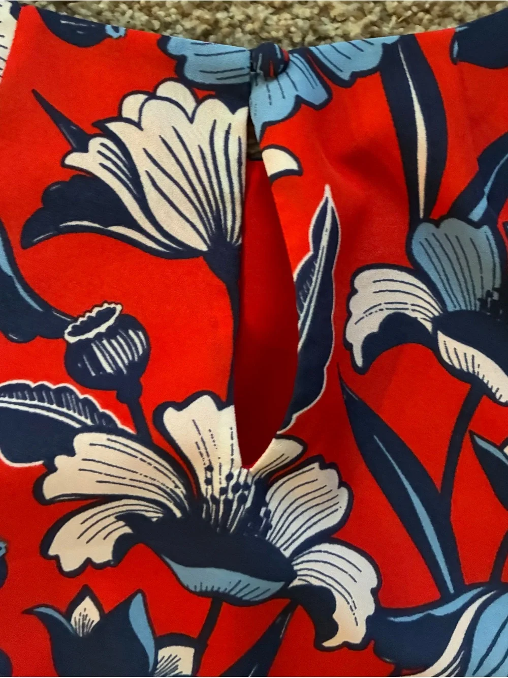 J.Crew Red & Blue Floral Print Gallery Shift Dress Size 00